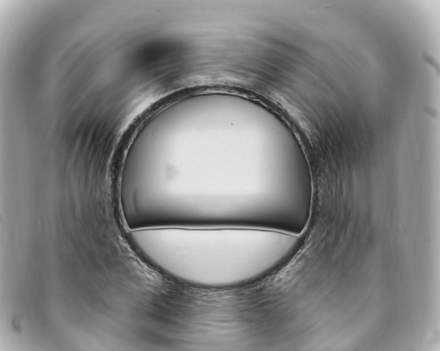 X0000094230975200710261010