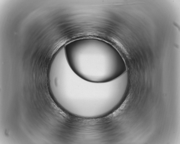 X0000094230977200710261010