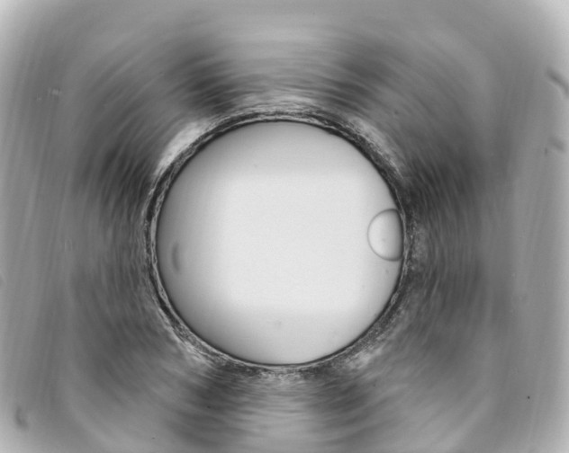 X0000094230978200710261010