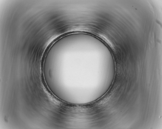 X0000094230980200710261010