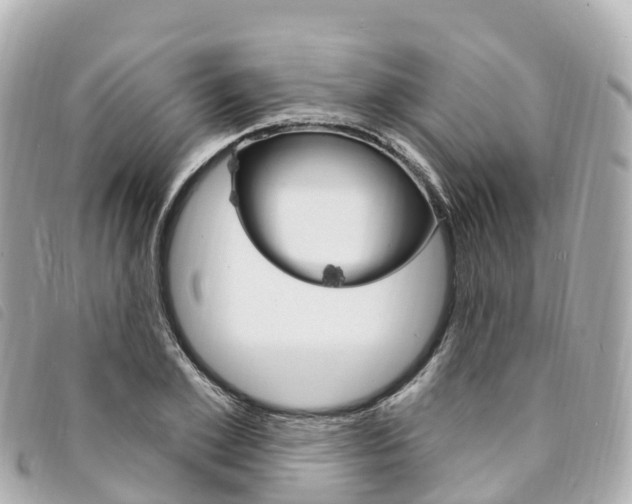X0000094230981200710261010
