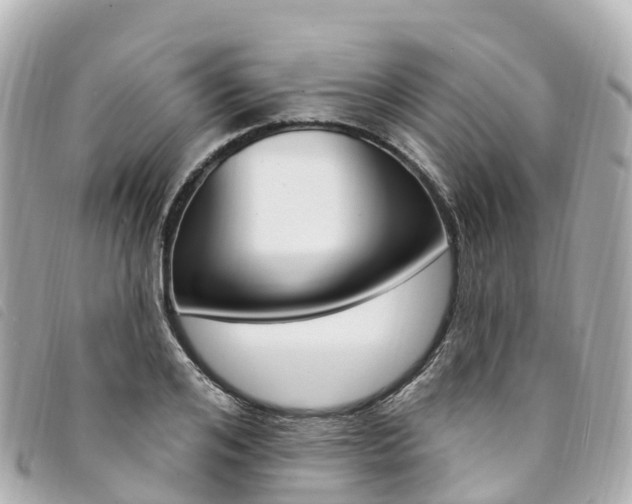 X0000094230984200710261010