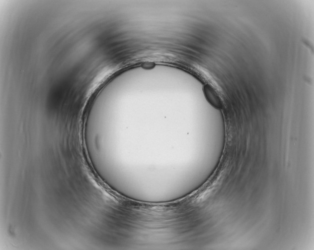 X0000094230986200710261010