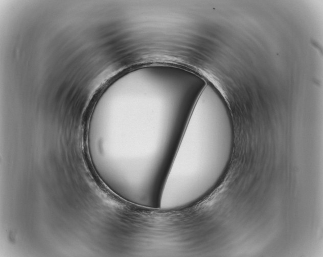 X0000094230987200710261010
