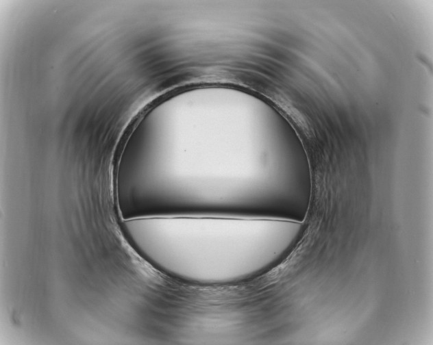 X0000094230988200710261010