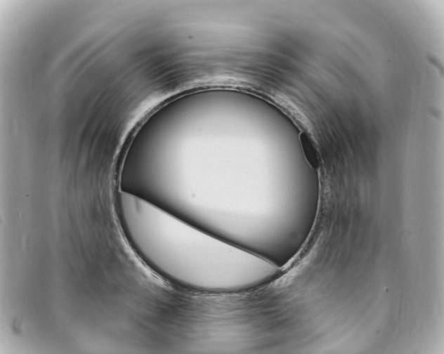 X0000094230989200710261010