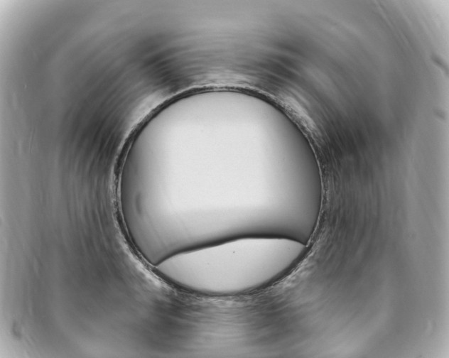 X0000094230990200710261010