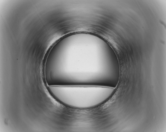 X0000094230991200710261010