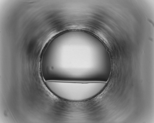 X0000094230992200710261010