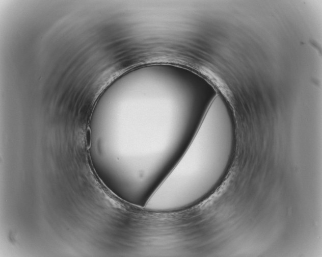 X0000094230993200710261010