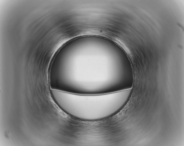 X0000094230996200710261010