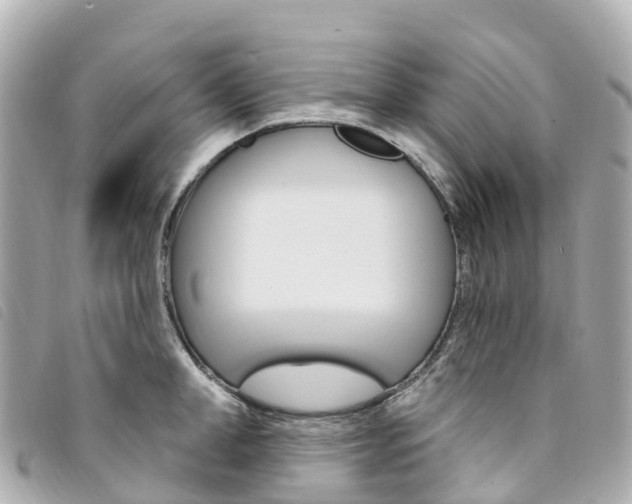 X0000094230998200710261010