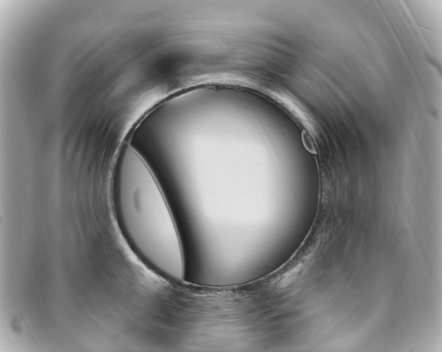 X0000094230999200710261010