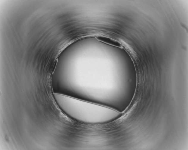 X0000094231001200710261010