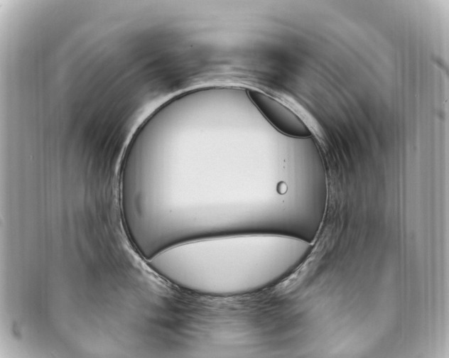 X0000094231004200710261010