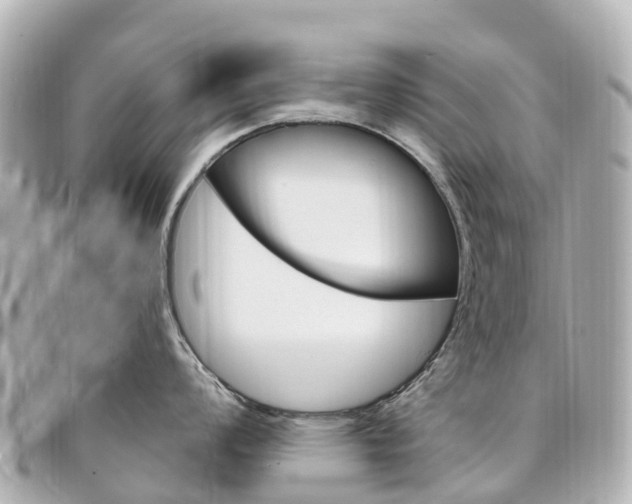 X0000094231008200710261010