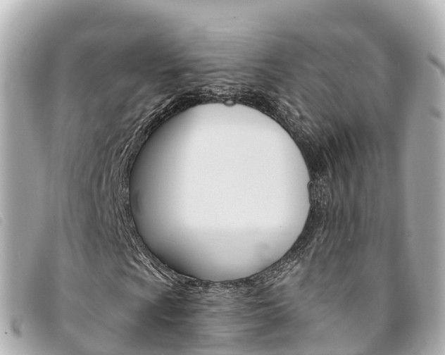 X0000094231009200710261009