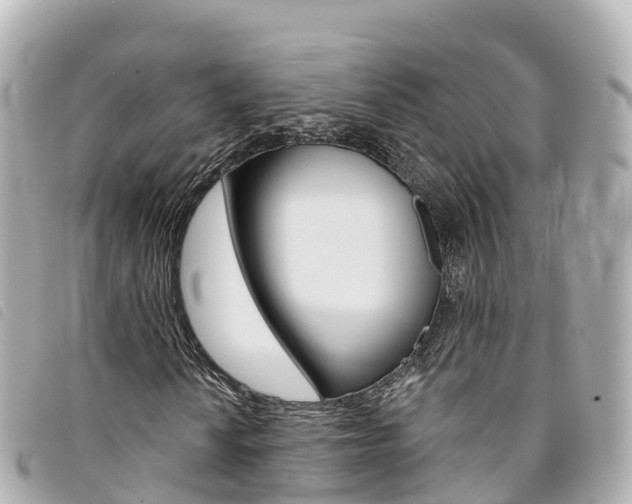 X0000094231010200710261009