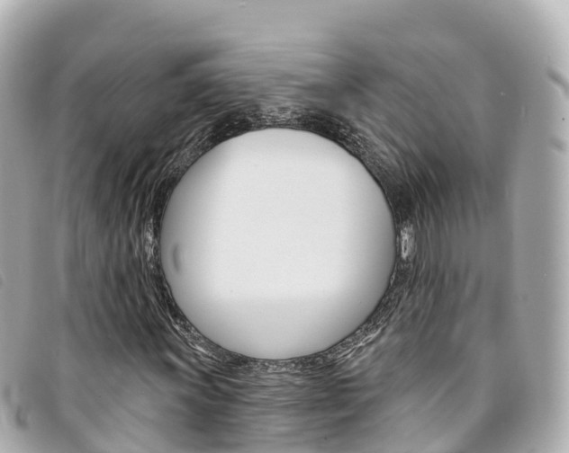X0000094231011200710261009
