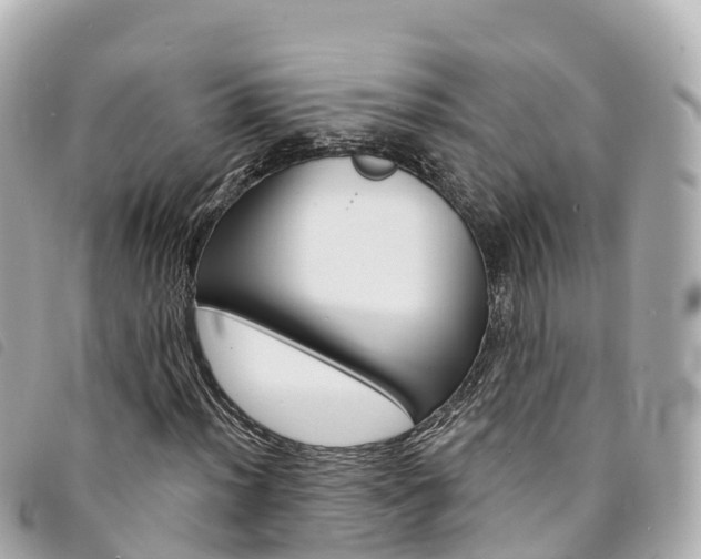 X0000094231012200710261009