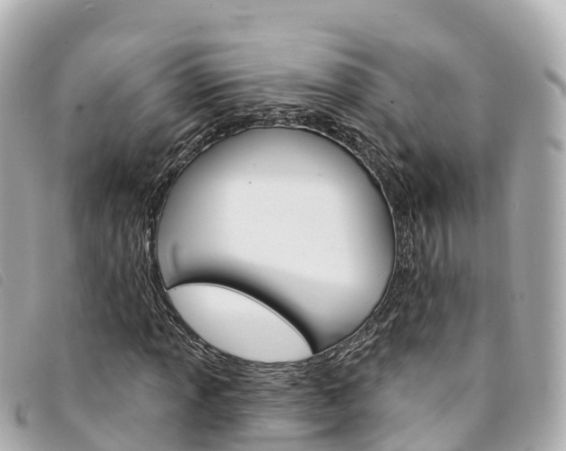 X0000094231013200710261009