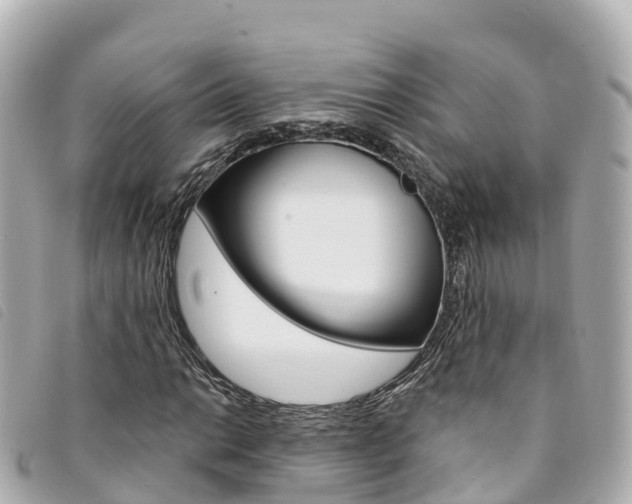 X0000094231014200710261009