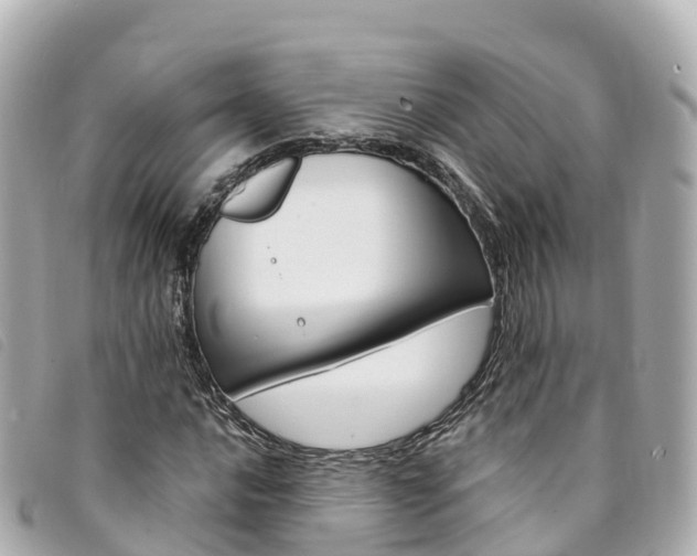X0000094231016200710261009