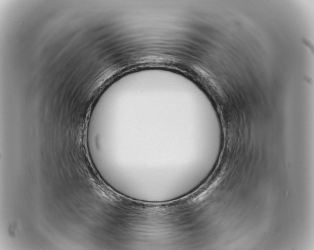 X0000094231017200710261009