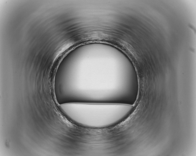 X0000094231018200710261009