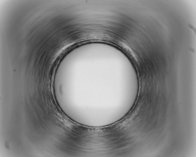 X0000094231019200710261009