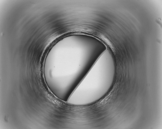 X0000094231020200710261009