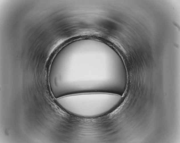 X0000094231021200710261009