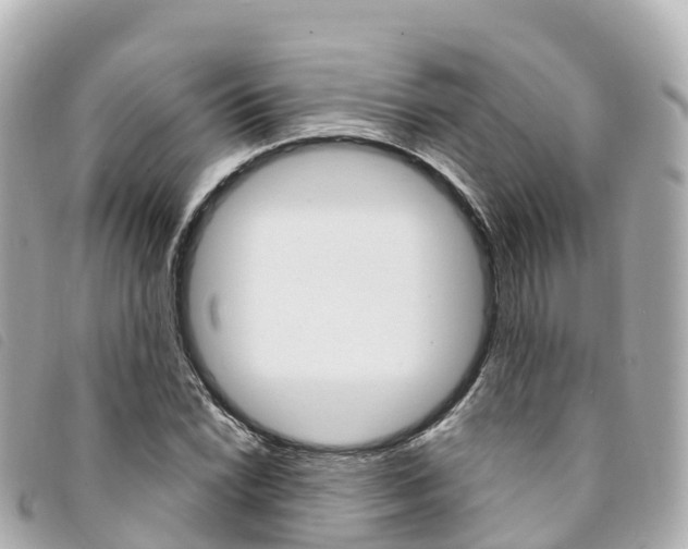X0000094231022200710261009