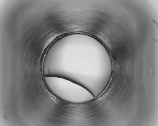 X0000094231023200710261009