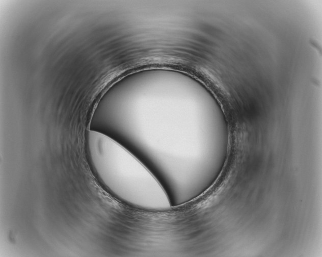 X0000094231025200710261009