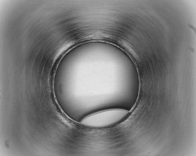 X0000094231026200710261009