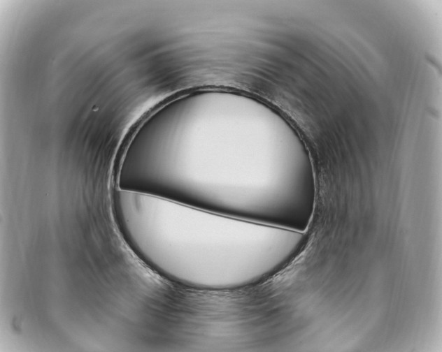 X0000094231028200710261009