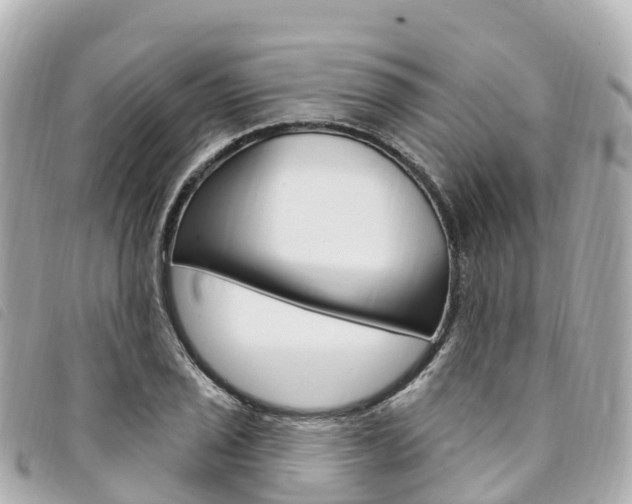 X0000094231029200710261009