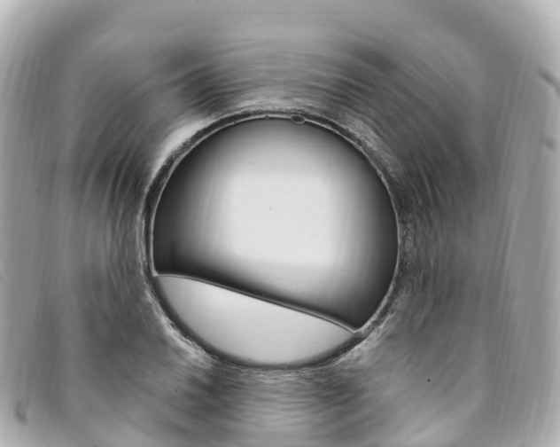 X0000094231030200710261009