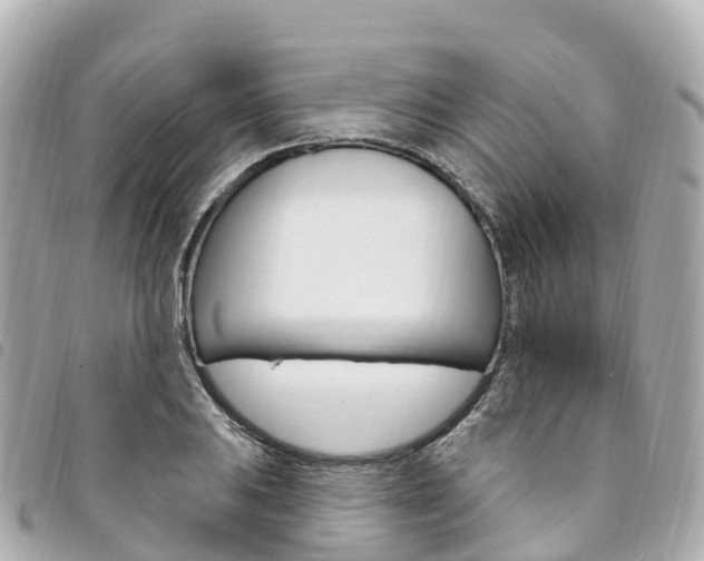 X0000094231031200710261009