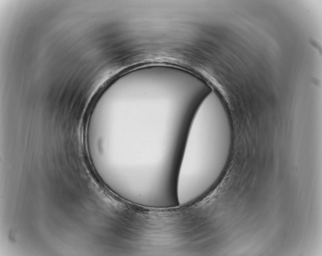 X0000094231032200710261009