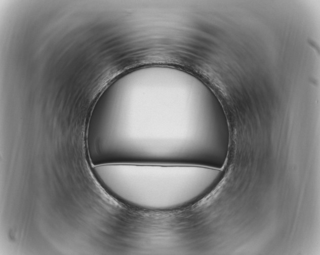 X0000094231033200710261009