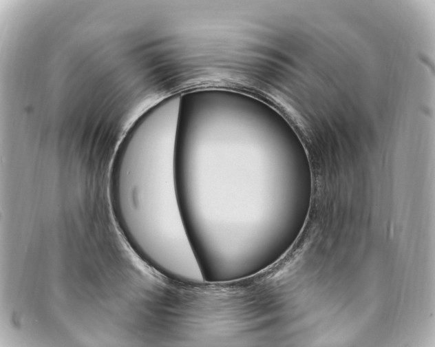 X0000094231034200710261009