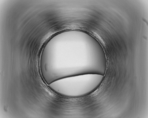 X0000094231035200710261009