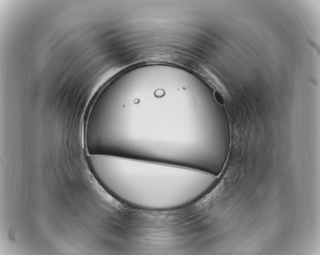 X0000094231036200710261009