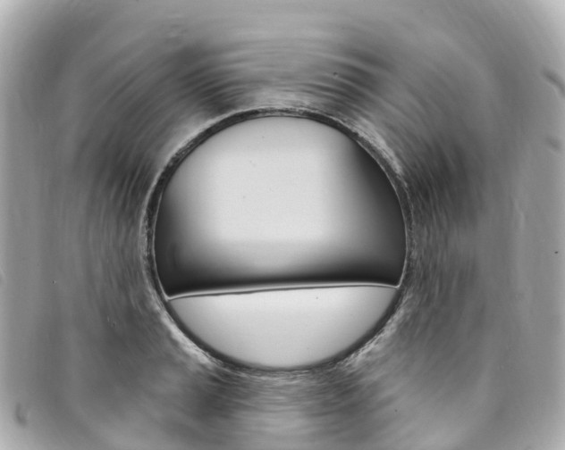 X0000094231037200710261009
