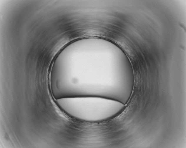 X0000094231039200710261009