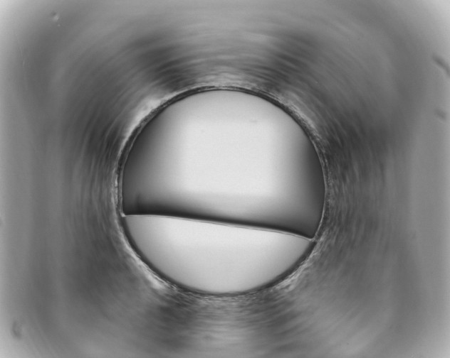 X0000094231040200710261009