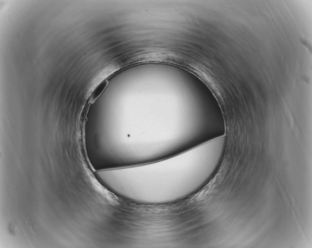 X0000094231042200710261009