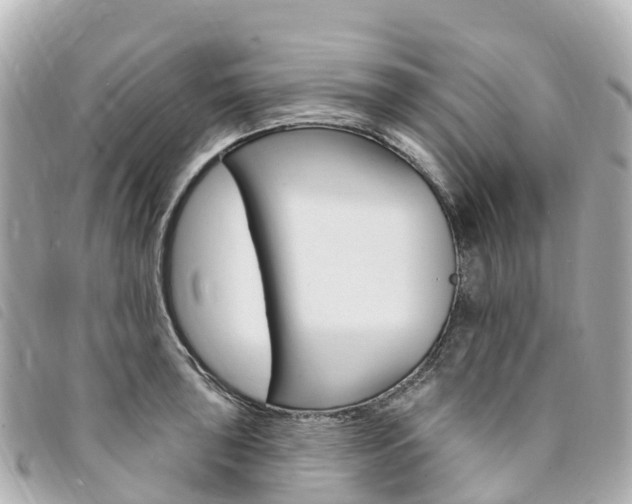 X0000094231043200710261009